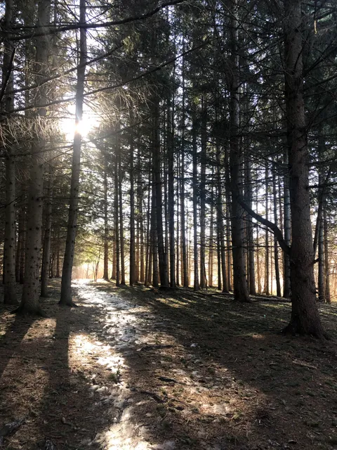 Dumfries Conservation Area