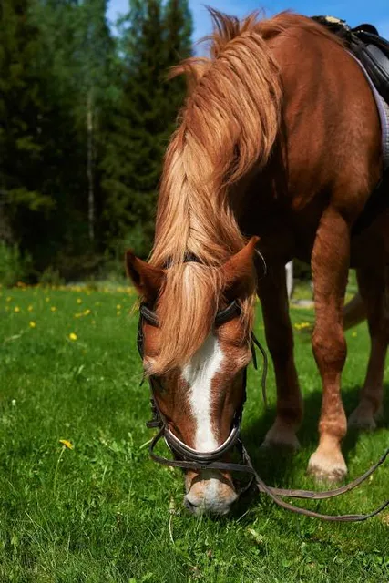 Castle in the courtyard garden