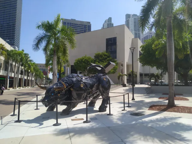 Miami Bull