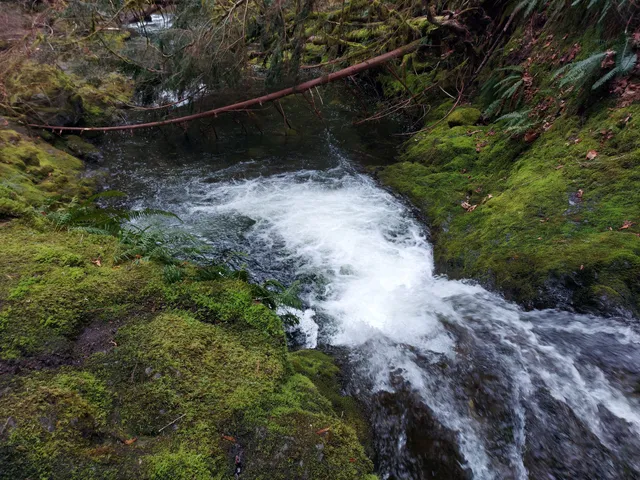 Nile Creek Trailhead