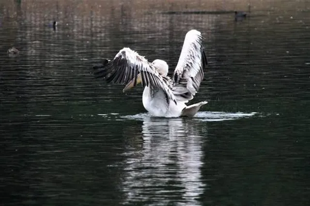 William E. Wolfe Park