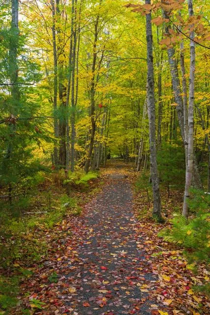 Sieur de Monts Nature Center