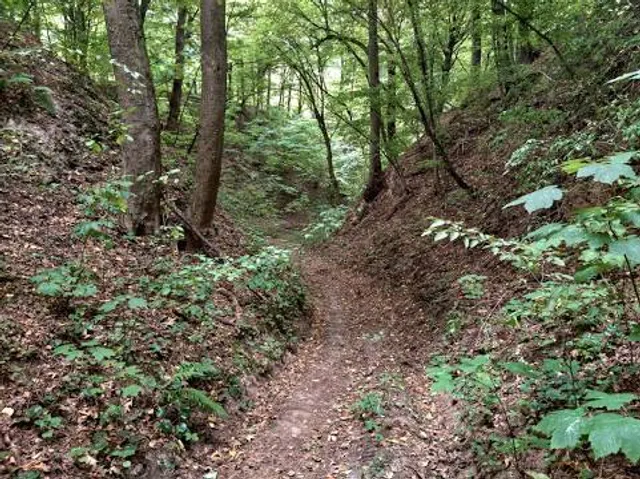 Wąwóz na Niezabitowskiego (na Przychodnia) – głębocznica