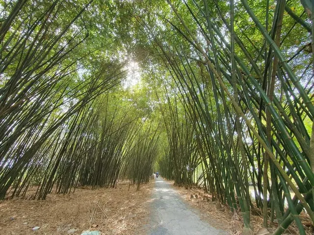 Tư Sang Bamboo Garden