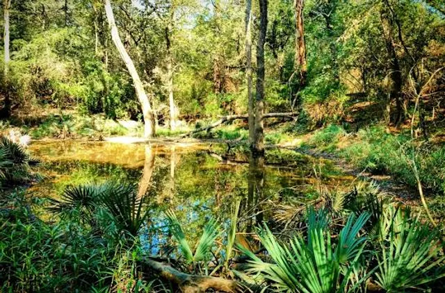 Frankie Carter Randolph Park