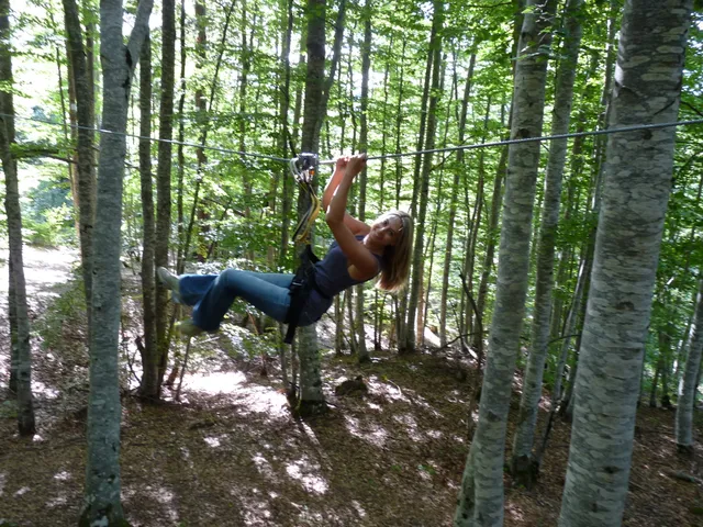 Parc Des Écureuils (Parcours aventure Dans Les Arbres)