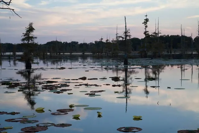 Natchaug State Forest