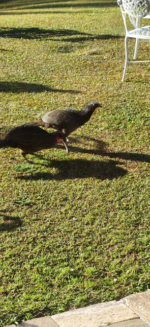 Pousada Vale dos Sonhos