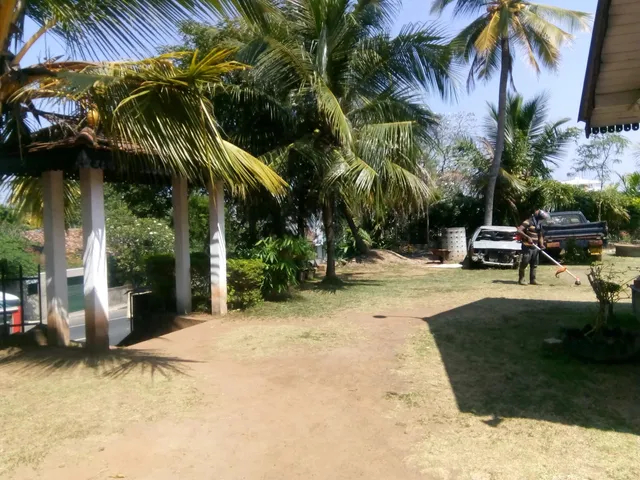 photo-1