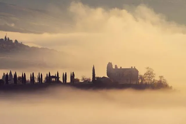 Δάσος Συγγρού