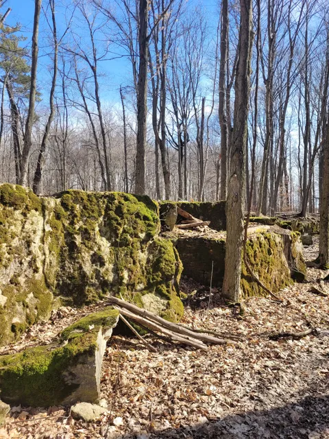 Cave Springs Conservation Area