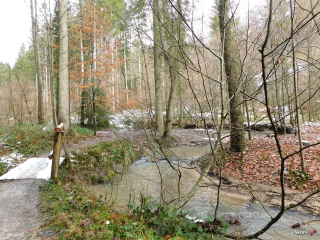 Urbach forest adventure path