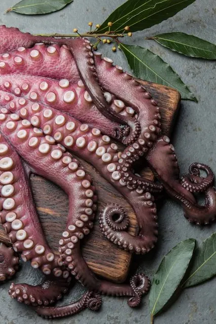 Laurel Gray Vineyards