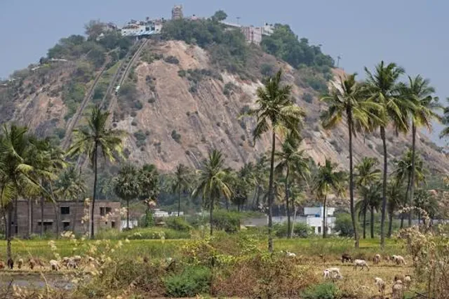Arulmigu Dhandayuthapani Swamy Temple, Palani
