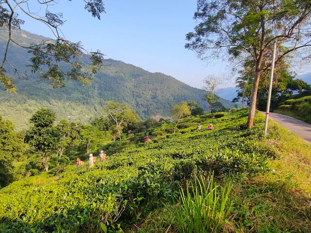 Kitam Bird Sanctuary