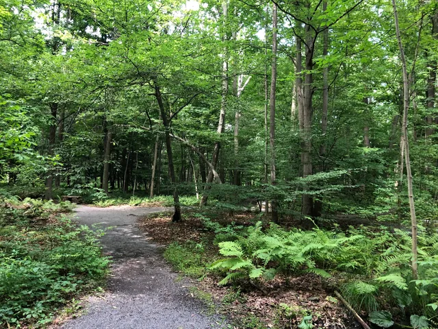 Mundy Wildflower Garden