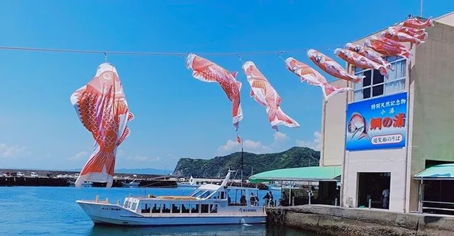 Tai no Ura - Natural habitat of red seabream / Tai no Ura Pleasure Boat Cruise