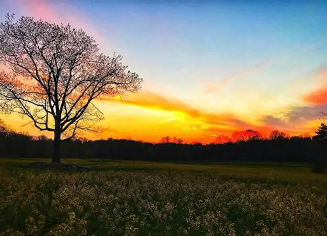 Top O' Ledges Picnic Area