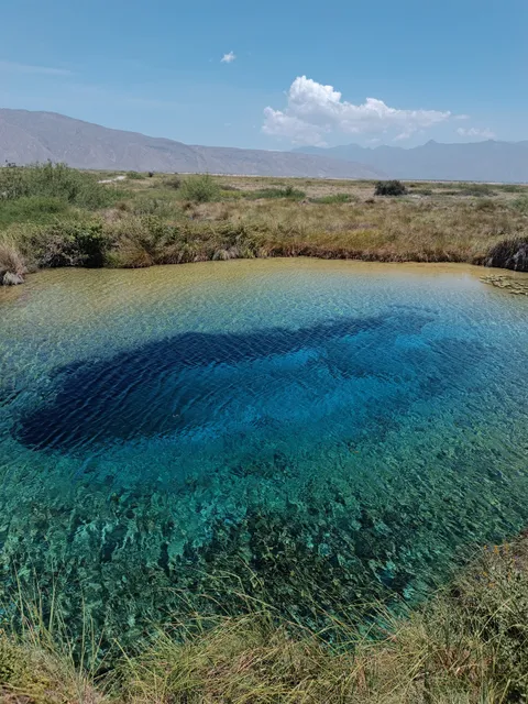 Área de Protección de Flora y Fauna Cuatrociénegas