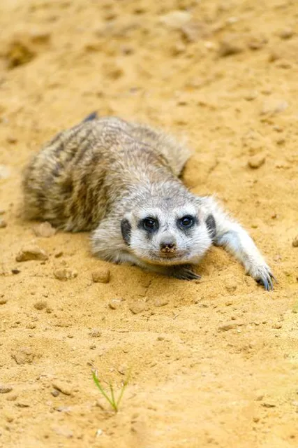 Wildlife World Zoo, Aquarium & Safari Park