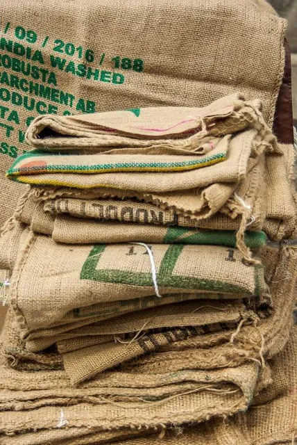 Cañón de los Perdidos