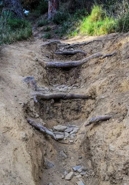 Consorzio Parco dei Colli di Bergamo