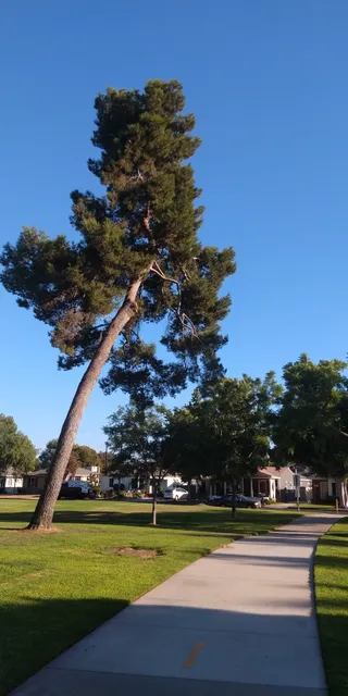 photo-3