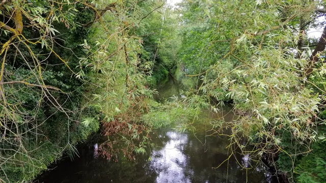 photo-3