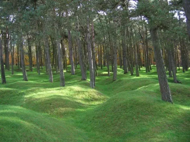 Forêt de Vimy