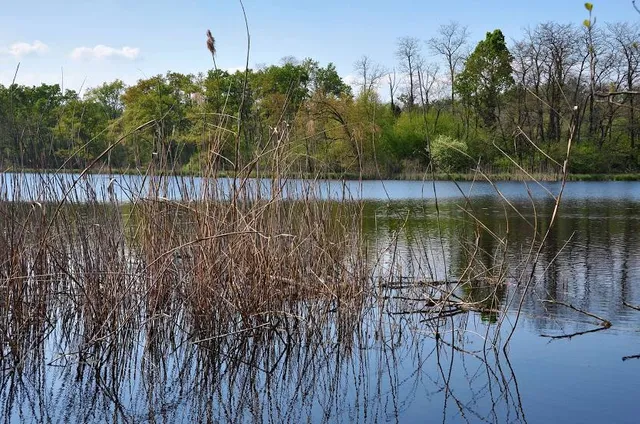 Lagoni di Mercurago Natural Park