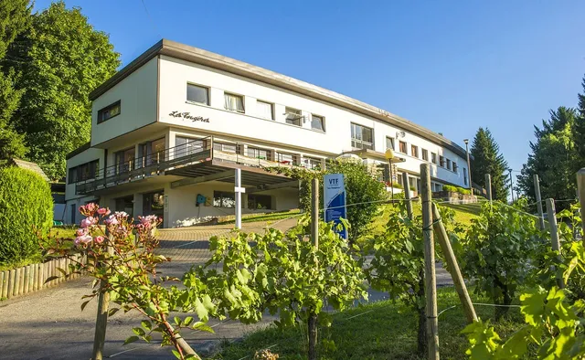 Village Vacances VTF "Les Fougeres"