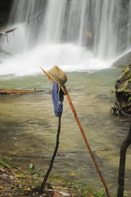 Anayadikuthu Waterfalls