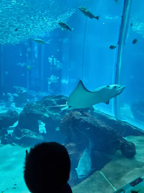 Forest of Environmental Symbiosis (Mirai no Mori)