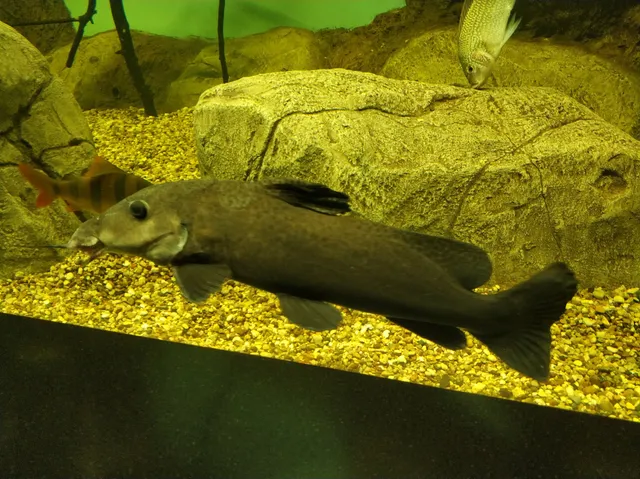 Okeanarium Yekaterinburga