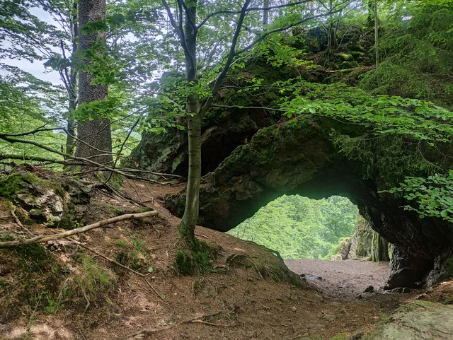 Torstein (Totalreservat + Naturschutzeule)