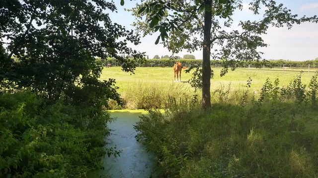 Beemster Bomenmuseum