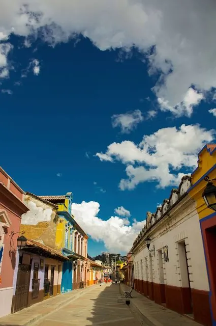 Andador De Guadalupe