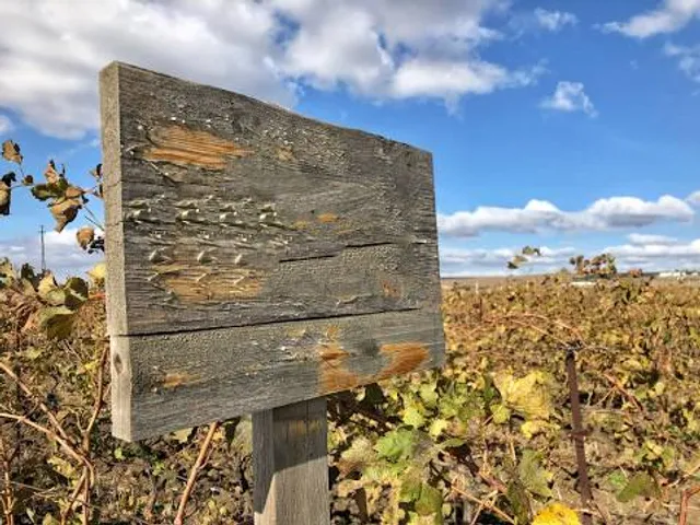 Zálabská Bašta - Práchovna