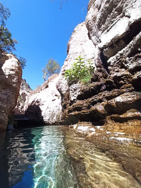 Manantiales "El Aguacate"