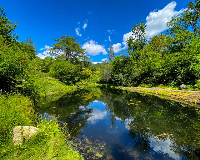 Sonoma Botanical Garden