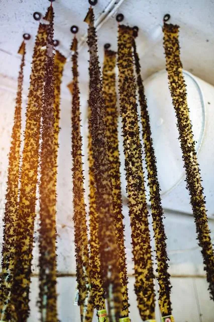 Museo Casa Carnacini