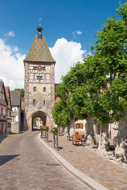 Ancienne synagogue de Bergheim