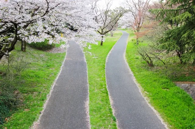 Showa Memorial Park