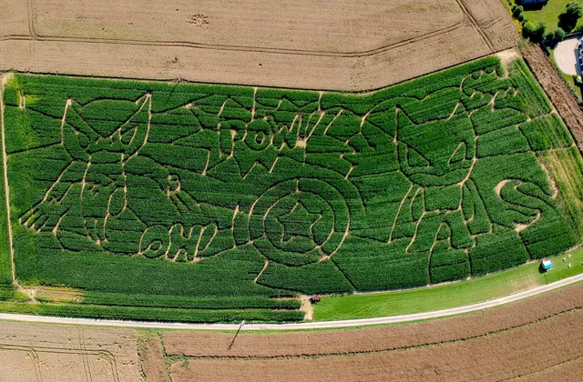 Le Labyrinthe Des Dalles