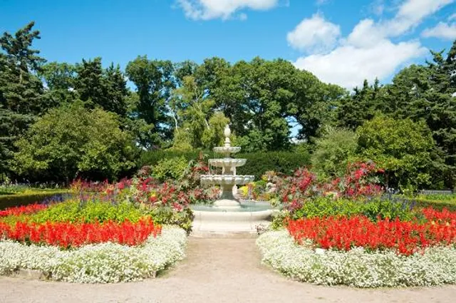 photo-2