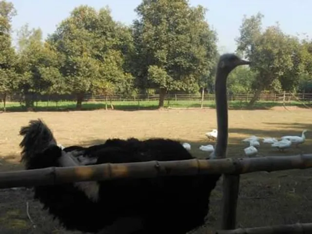 Rana Resort & Safari Park