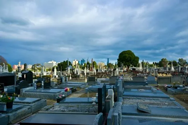photo-1