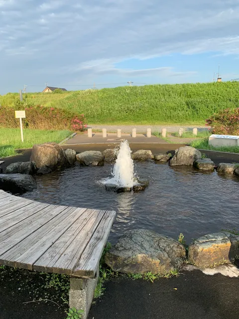 Toyodaikedanowatashi Park