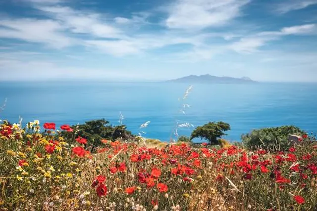 Otachimisaki Symbol Tower