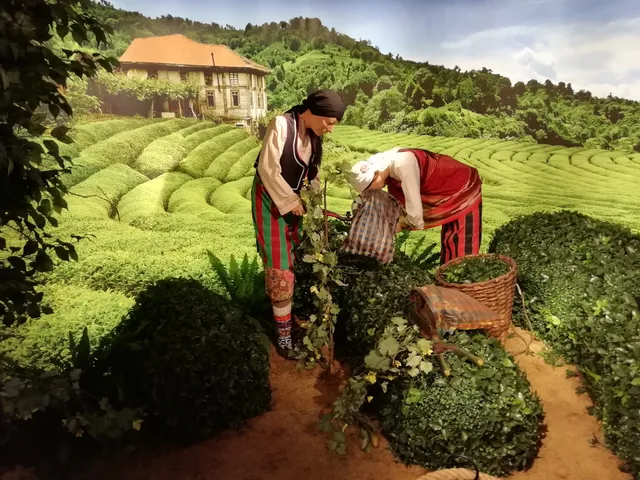 Doğal Yaşam Müzesi